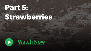 Image of an area with buildings and trees at the background. With texts "Part 5: Strawberries" and "Watch Now."